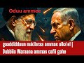 Gaaddidduun Nukilaraa Ammas Ka E Waraanni Irra Deebin Dhoohufi Iraan Nuukilara Nihidhatti Gaaddidduun Nukilaraa Ammas Ka E Waraanni Irra Deebin Dhoohufi Iraan Nuukilara Nihidhatti