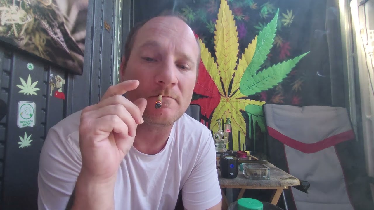 holy moly by fig farm total thc is 38.75