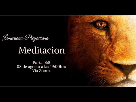 El portal del