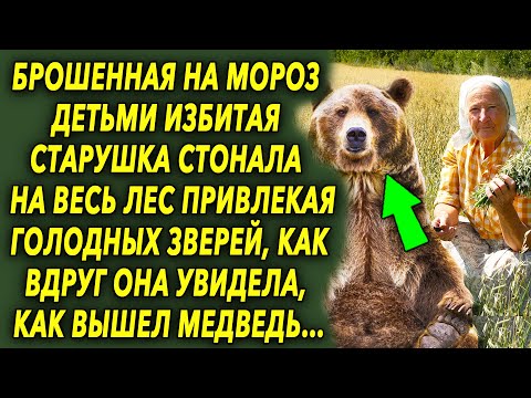 Старушка в лесу увидела как вышел медведь, а что произошло дальше, шокировало…