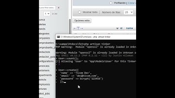 “Laravel 12: Cómo usar PHP Artisan Tinker para probar código y consultas Eloquent en segundos”