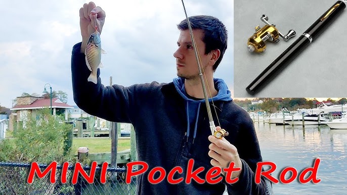 Pen Fishing Pole 39 inch Mini Pocket Fishing Rod and Reel Combos Travel Fishing Rod Set - Pocket Fishing Rod Pole + Reel Aluminum Alloy + Fishing