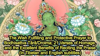 Download Lagu 21 Verses of Homage \u0026 Prayer to Jetsun Drolma/Dema/ Bodhisattva Tara \u0026 for the Fulfilment of Wishes MP3 Download Lagu 21 Verses of Homage \u0026 Prayer to Jetsun Drolma/Dema/ Bodhisattva Tara \u0026 for the Fulfilment of Wishes MP3