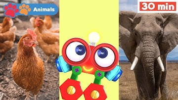 Toddler Learning Video with Robi the Robot | Educational Early Learning Videos | Fun Videos for Kids