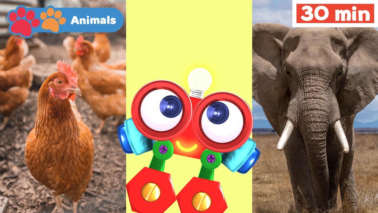 Toddler Learning Video with Robi the Robot | Educational Early Learning ...