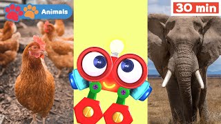 Toddler Learning Video with Robi the Robot | Educational Early Learning Videos | Fun Videos for Kids