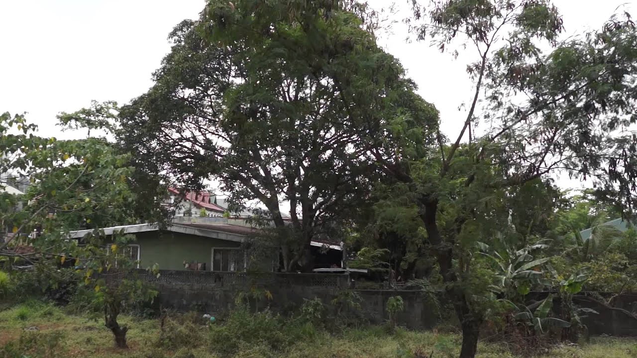 Tarot X4 w/ Dslr gimbal on board video