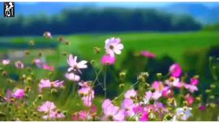 Arabic Nasheed - Amazing Nasheed Nasheed without music - Atadri