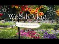 VLOG: Time to Start the Garden!