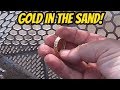 GOLD and SILVER Found Beach Metal Detecting (Minelab Equinox 800)