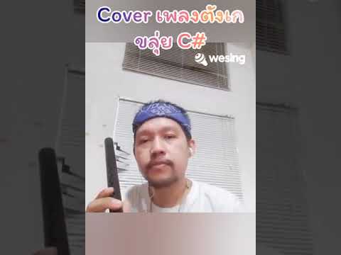 #ครูหนึ่งขลุ่ยหวาน #ครูหนึ่งขลุ่ยไทย Cover เพลงตังเก ขลุ่ยคีย์ C#