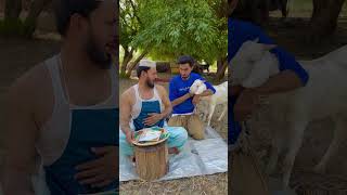 Bakra Eid per Sasta kasai Mil Gaya 😱