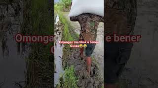 remuk awak e gussss #automobile #sawah #automobile #fromkatabijak #katahatimotivasi