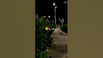 تلاوه هادئه سوره يس بصوت القارئ ماهر المعيقلي #مقاطع_دينية #اكسبلور #المصحف #قران_كريم #لايك