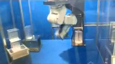 EPSON FANS Lab Automation Demo   Well Plate Transfer (C3 A601SR 6 axis).