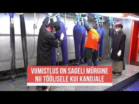 Video: Kes tegi võidusõidupilte?