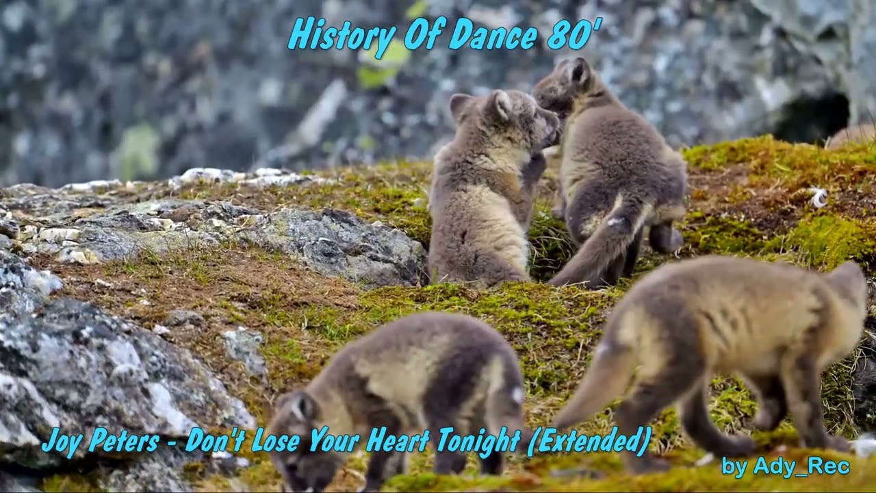 Joy Peters   Don't Lose Your Heart Tonight Extended 2 - Disco 80 - EuroDance - Old Music