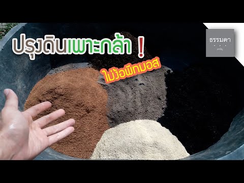 ปรุงดินเพาะกล้า | ไม่ง้อพีทมอส ประหยัดเงินในกระเป๋า