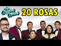 LOS ÁNGELES AZULES FT ALEKS SYNTEC-20 ROSAS