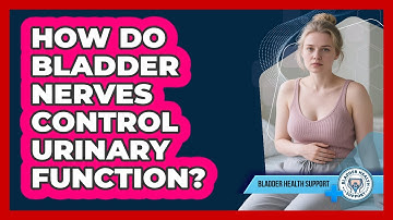 How Do Bladder Nerves Control Urinary Function? - Bladder Health Support