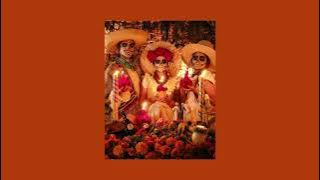 DJ Zone - Mexico cruise (Interlude) | (Slowed down)