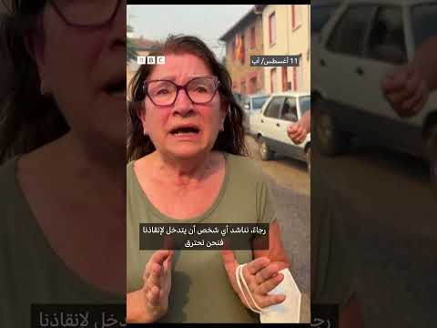 حرائق إسبانيا والبرتغال: جهود مكافحة موجة حر قياسية