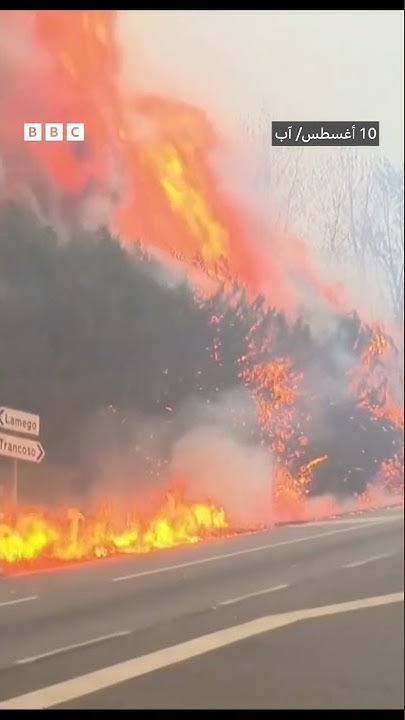           
 - نشر قبل 52 دقيقة