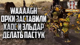 WAAAGH! Орки заставил Делать ПАСТУК: Warhammer 40000 Dawn of War 2 Retribution Elite Mod