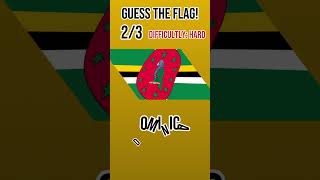 Guess the flag! #vexillology #flag #geography
