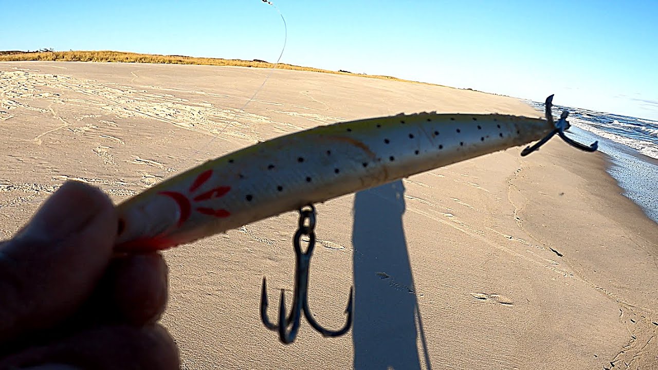 Striped Bass Surf Fishing YELLOW Daiwa Salt Pro Minnow SINKING SP