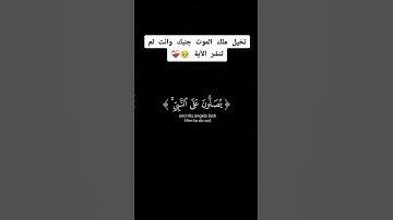 قران كريم بصوت الشيخ ياسر الدوسري #ياسر_الدوسري #قران_كريم #yasseraldossary #اكسبلور #راحة_نفسية