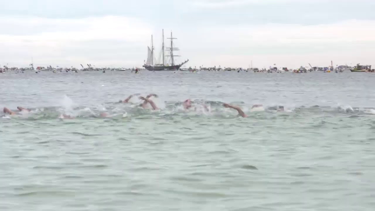 Rottnest Channel Swim Live Stream YouTube
