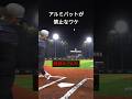 プロでアルミバットが禁止な理由