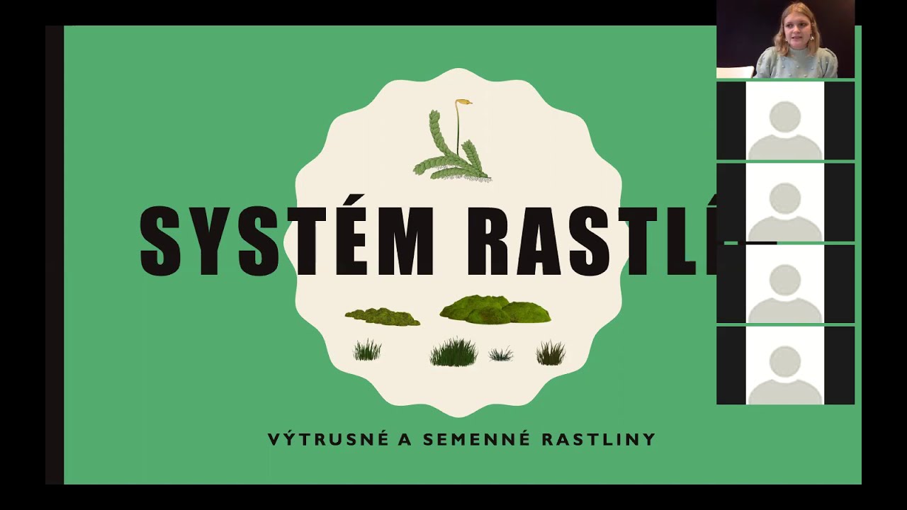Systém rastlín