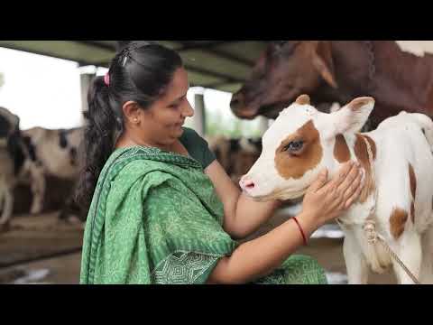 Amul Farmer Stories | Chaudhari Sharmishtaben Ranjeetbhai | Mehsana