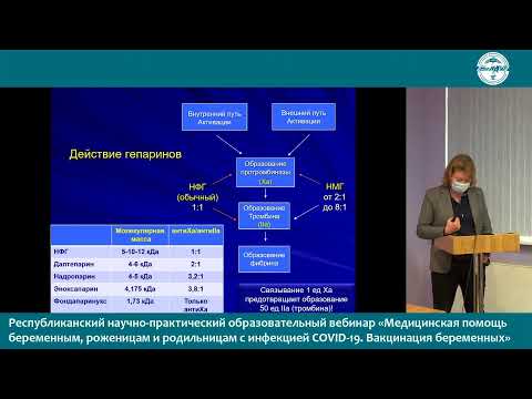 «Медицинская помощь беременным, роженицам и родильницам с инфекцией COVID-19. Вакцинация беременных»