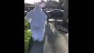 Easter bunny falls down