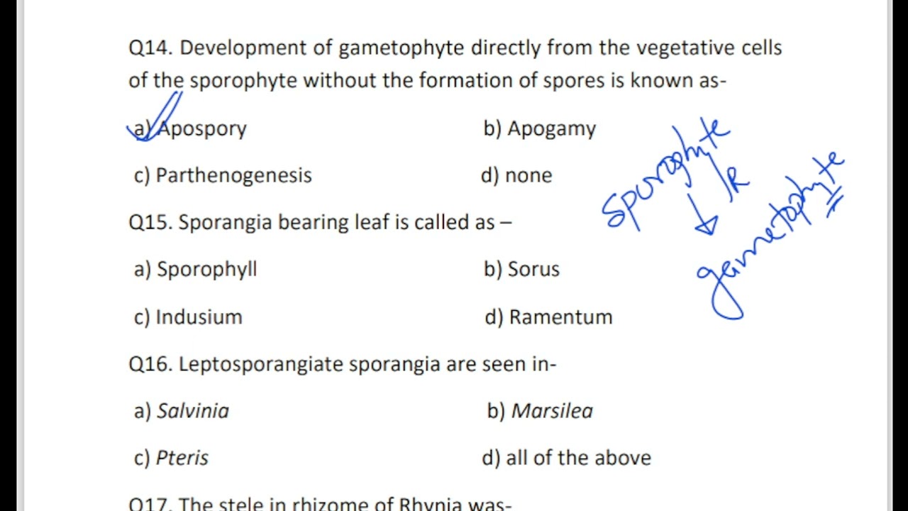 Pteridophyte MCQ||NEET||CUET||TGT||PGT||Biology MCQ||Life Science Classes||
