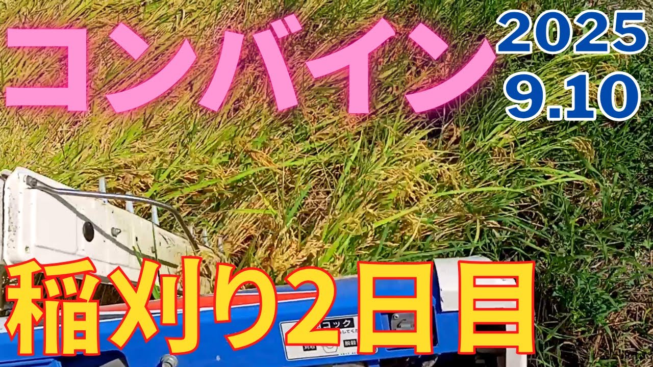 コンバイン 2025.9.10 その1 稲刈り イセキ フロンティアファイター 