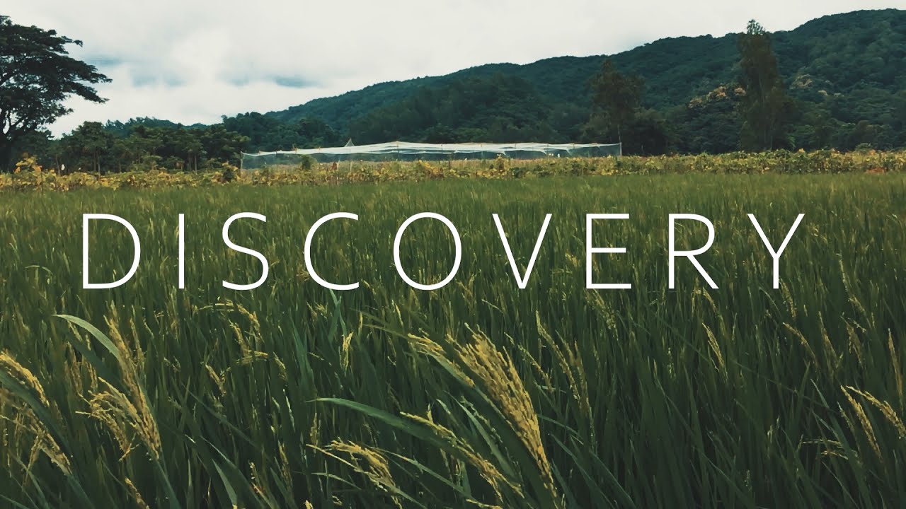AK - Discovery | Ash's Eomatic | AE |Music video|Mobile  videography#ambient #electronic #downtempo