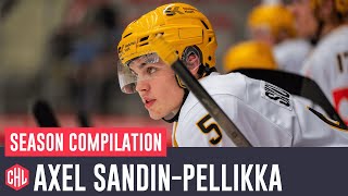 Axel Sandin-Pellikka Season Compilation | 2023/24
