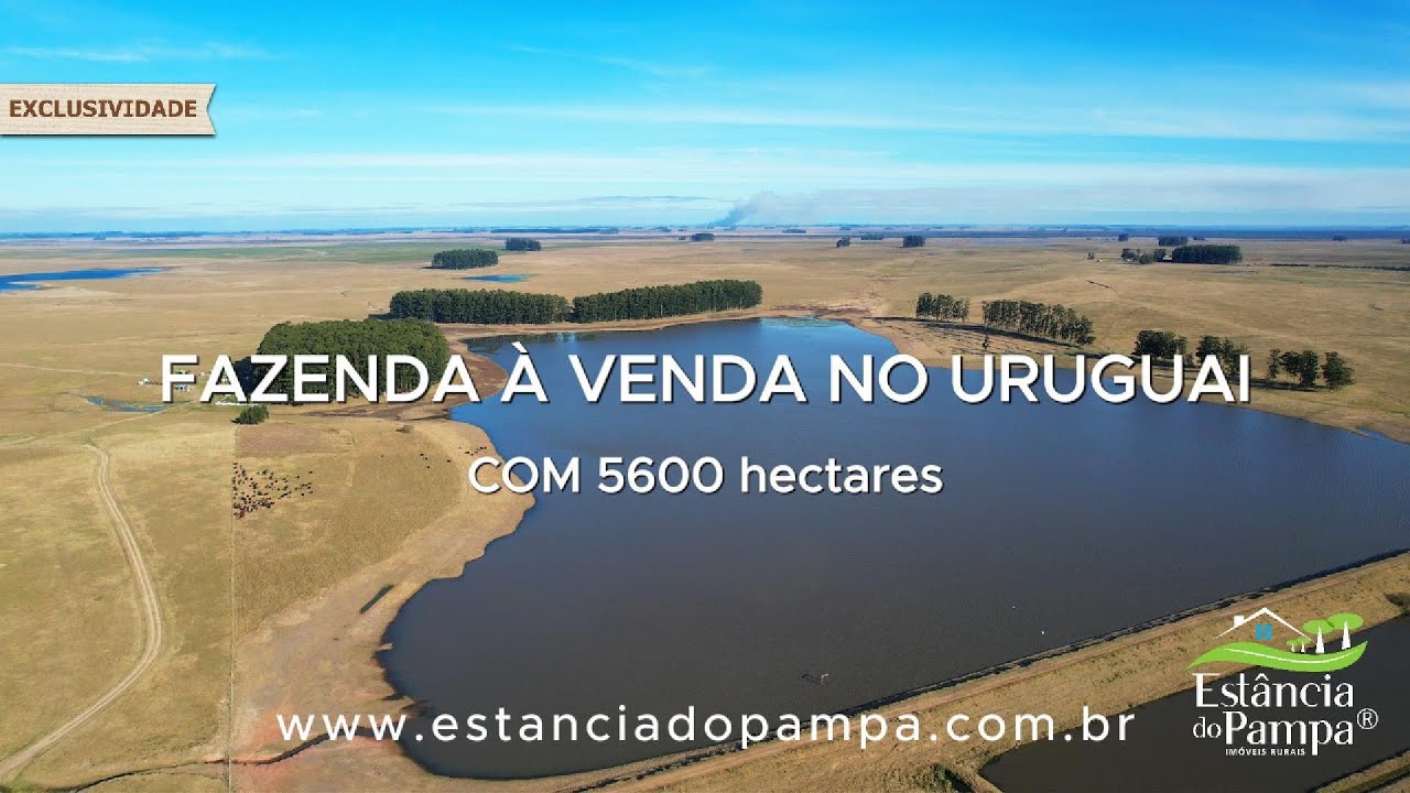 EXCLUSIVIDADE | FAZENDA À VENDA NO URUGUAI COM 5600HA 