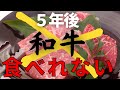 【畜産の裏側】5年後に和牛が食べれなくかもしれません