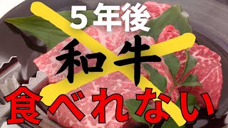 【畜産の裏側】5年後に和牛が食べれなくかもしれません