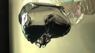 Bad Jelly The Fish - Helium Blubberbot Jellyfish.