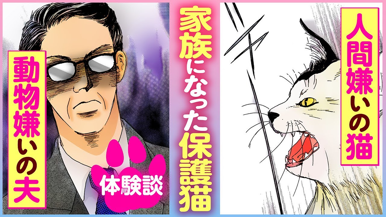 まんが にゃんこの涙～全国から届いた、猫と人との泣ける話～ Chapter