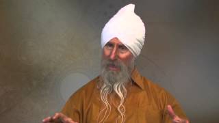 reframing yogic science in terms of its effects on the brain david shannahoff khalsa