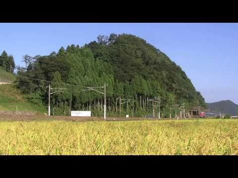 寝台特急「日本海」　EF81-101牽引　王子保～南条にて　警笛付