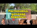 VLOG Распаковка,қонаққа барамыз