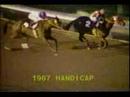 Bill Shoemaker in The Big Cap